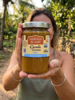 Cocada Cremosa Diet Sem Adição de Açúcar Essência do Vale 390g - Imagem 3